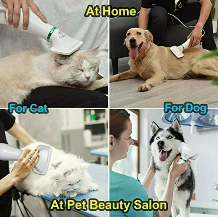 2-In-1 Pet Grooming Dryer