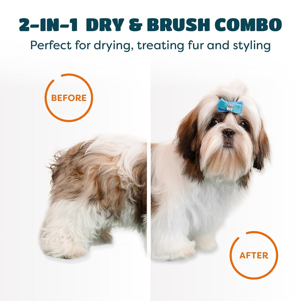 2-In-1 Pet Grooming Dryer