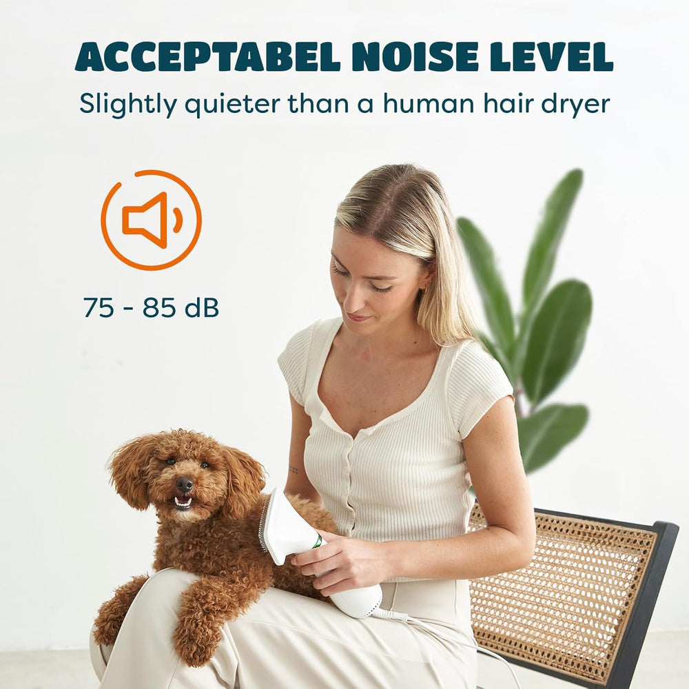 2-In-1 Pet Grooming Dryer