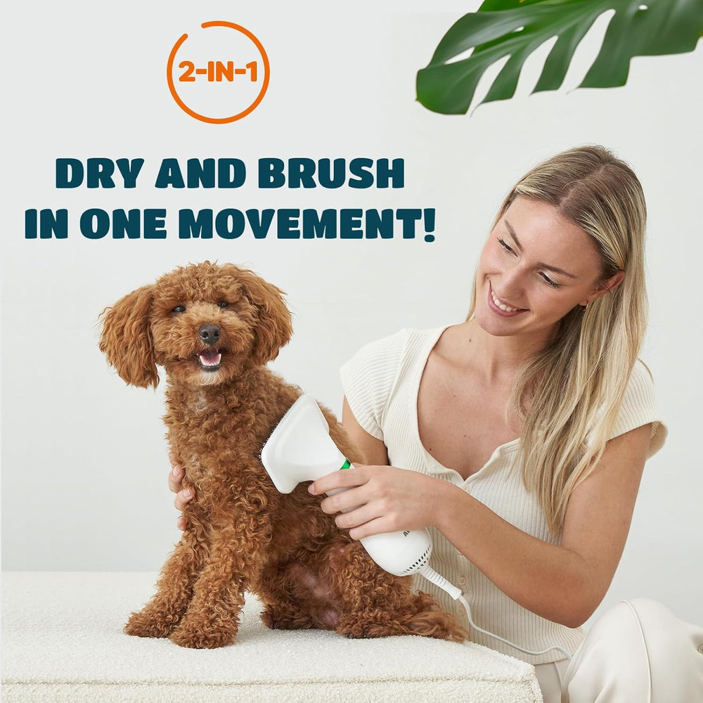 2-In-1 Pet Grooming Dryer