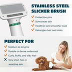 2-In-1 Pet Grooming Dryer