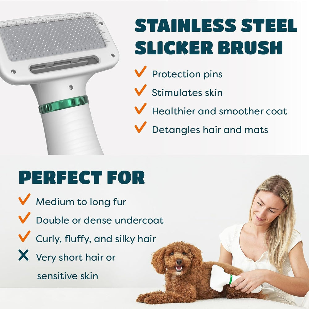 2-In-1 Pet Grooming Dryer
